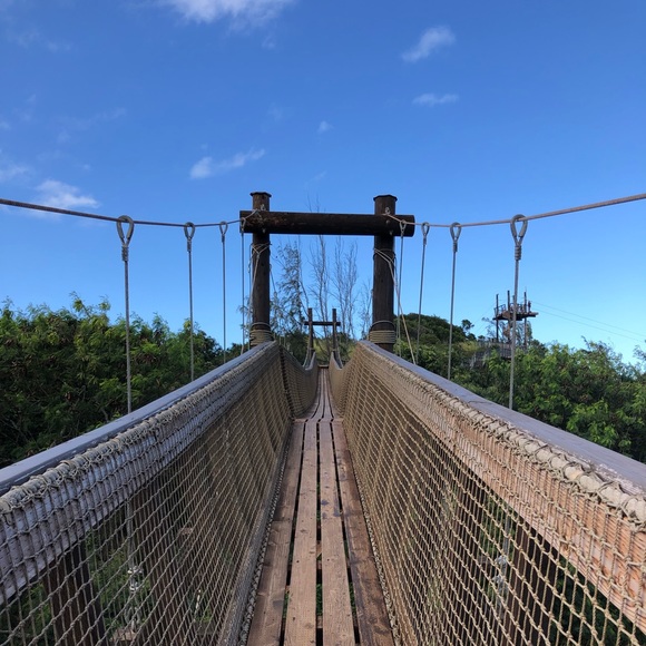 Meet your Posher, Jaymie - Picture 2 of 4